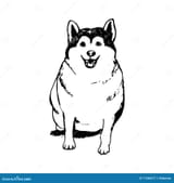 fat-husky-puppy-graphic-image-dog-abstract-pattern-vector-illustration-white-background-71586577