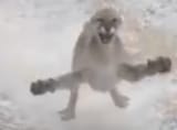 googar