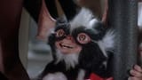 Mohawk_as_Mogwai