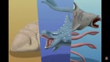 sharks