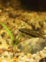 IMG_20250722_012551