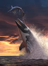 image_11132_1e-Thalassotitan-atrox