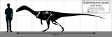 Gojirasaurus_scale_and_skeletal