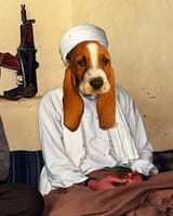 Osama binbassit