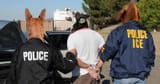 Huskypacos detained