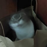 20250722_103043