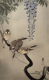 original-woodblock-print-ohara-koson-sparrows-and-wisteria-scaled
