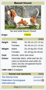 Basset = Baguette