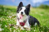 shutterstock_1721785990-scaled-e1692243636679