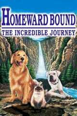 home-poster-297x445
