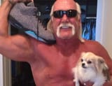 hulk-hogan-ami