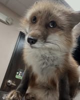nervous