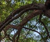 PXL_20250724_163222195crop