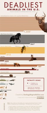 deadliest-animals-america-infographic-statistics-deer-horses-snakes-cattle-dogs-2