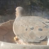 1753502797818