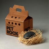 gty_pet_rock_150401