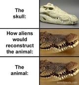 0edb8e64d4160651a72b035e80409220