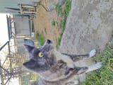 IMG_20250728_153433_HDR
