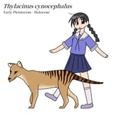 GxmNksVboAAuYvi