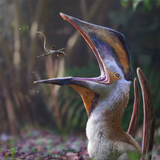 Aymberedactylus