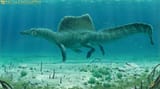 frederic-wierum-spinosaurus3