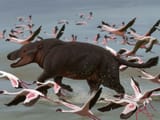 andrewsarchus__by_agustindiazart_df8iu3a