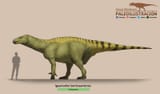 iguanodon_bernissartensis_by_camusaltamirano_diczphg-fullview