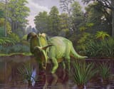 lokiceratops_rangiformis_2_v__by_atrox1_dhmm582-fullview