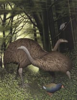MA_I043758_TePapa_South-Island-Giant-Moa_full-1-1618x2048