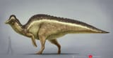 magnapaulia_by_mariolanzas_dhjy4ih-fullview