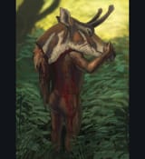 Homo erectus with Palaeotragus head