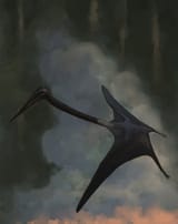 Infernodrakon