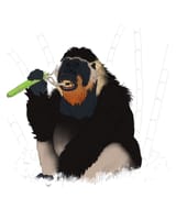 midiaou-diallo-gigantopithecus-2