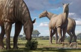 paraceratherium-prehistoric-mammal-mauricio-antonscience-photo-library