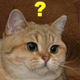 Thread 937946697 OP Image