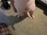 IMG_5478