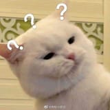 1695609766069399