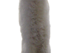 Long Cat 2