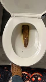 big-poo-rate-v0-a436meg2efod1_result