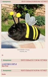 bunnybee