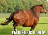 borbfat