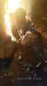 Coon BBQ_thumb.jpg