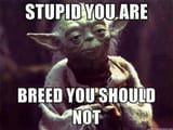 yoda says you&#039;re stupid