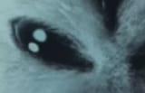 1719021134495492