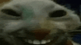 1749312959586634