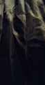 21230312_thumb.jpg