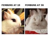 bunnyfembois