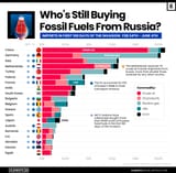 Importers-of-Russian-fossil-fuels-USD[1]