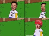 elon musk hedge