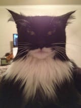 I&#039;m Batman